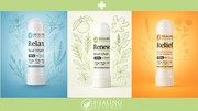 Nasal Inhaler Bundle – 3 Pack – Renew, Relax, Relief (Save 23%)