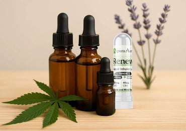 The Role of Terpenes: Breaking Down Aroma-Driven Benefits